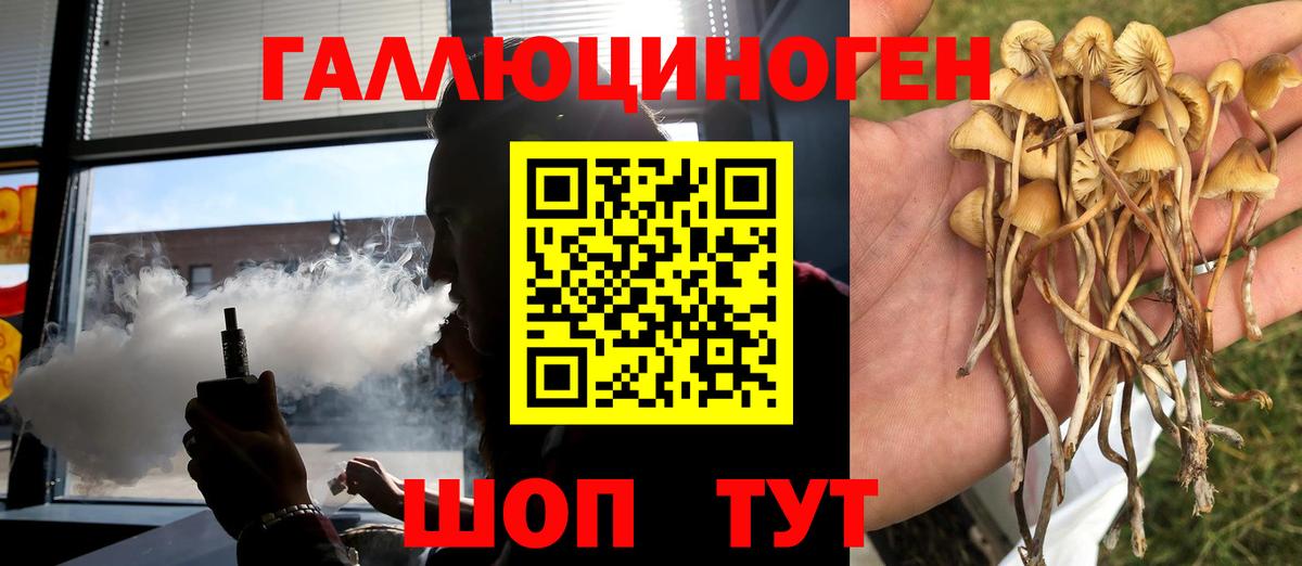 Галлюциногенные грибы ЛСД Мичуринск