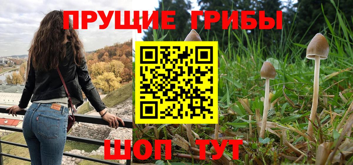 Галлюциногенные грибы Magic Shrooms  Вход с VPN  Мичуринск 